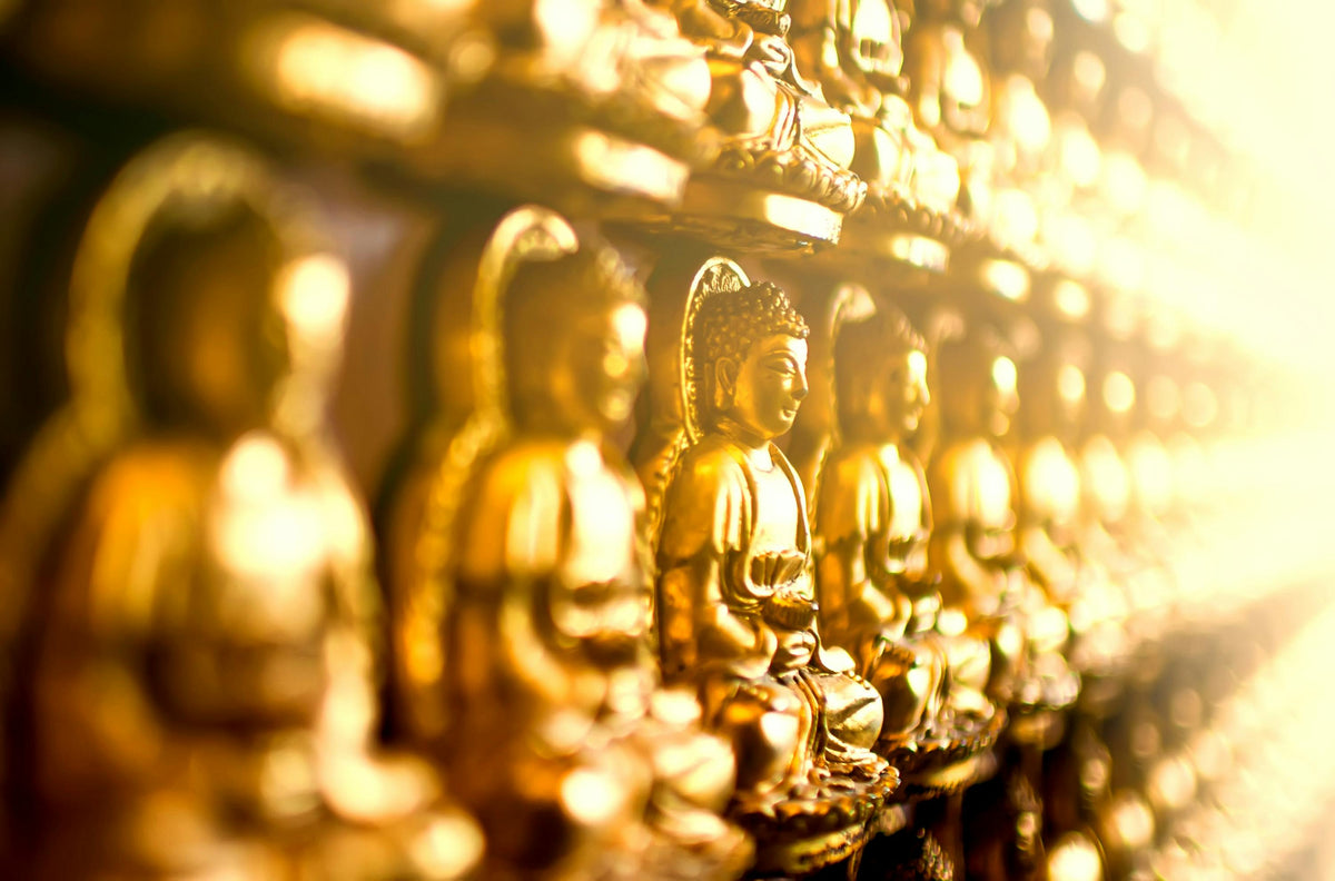 Understanding Freud’s Id, Ego, and Superego Through a Buddhist Lens