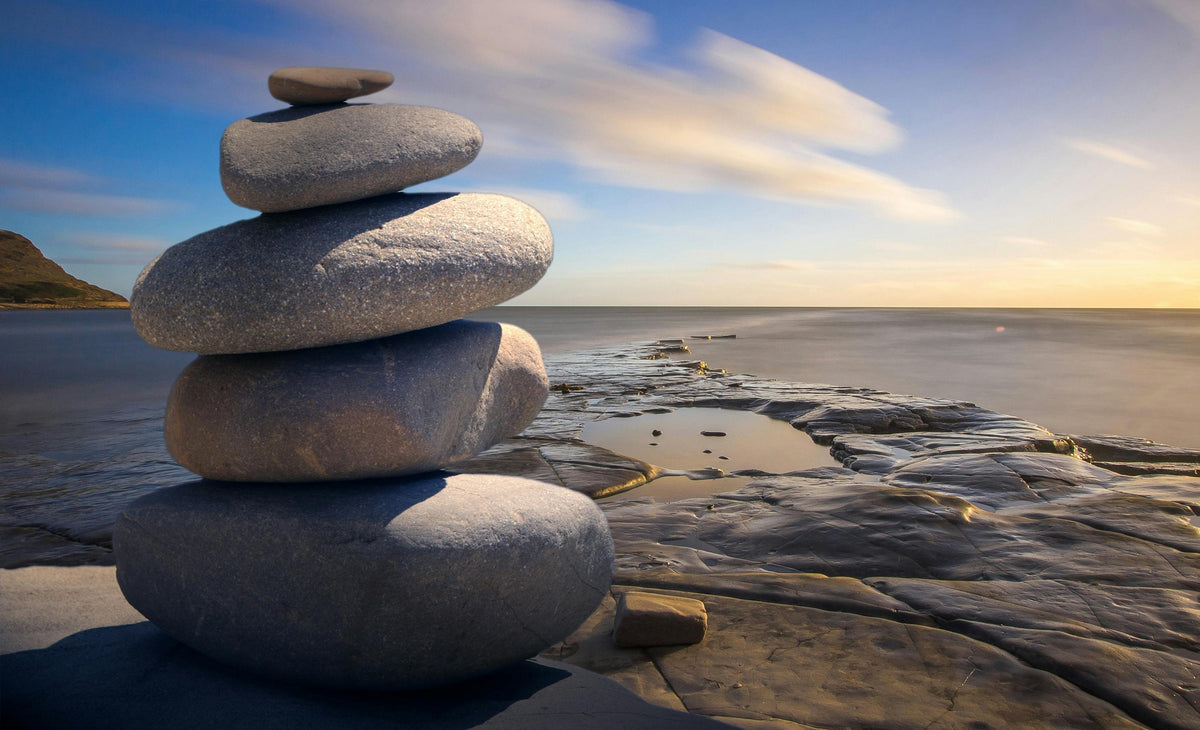 Alaya-vijnana and the Continuity of Mind