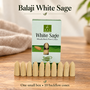 Balaji Masala Backflow Cones — Five Fragrances, 10 per Box — variant-01