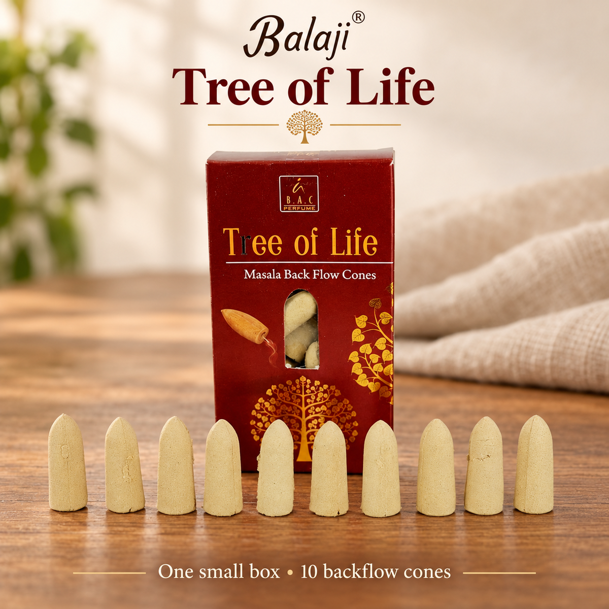 Balaji Masala Backflow Cones — Five Fragrances, 10 per Box — variant-04