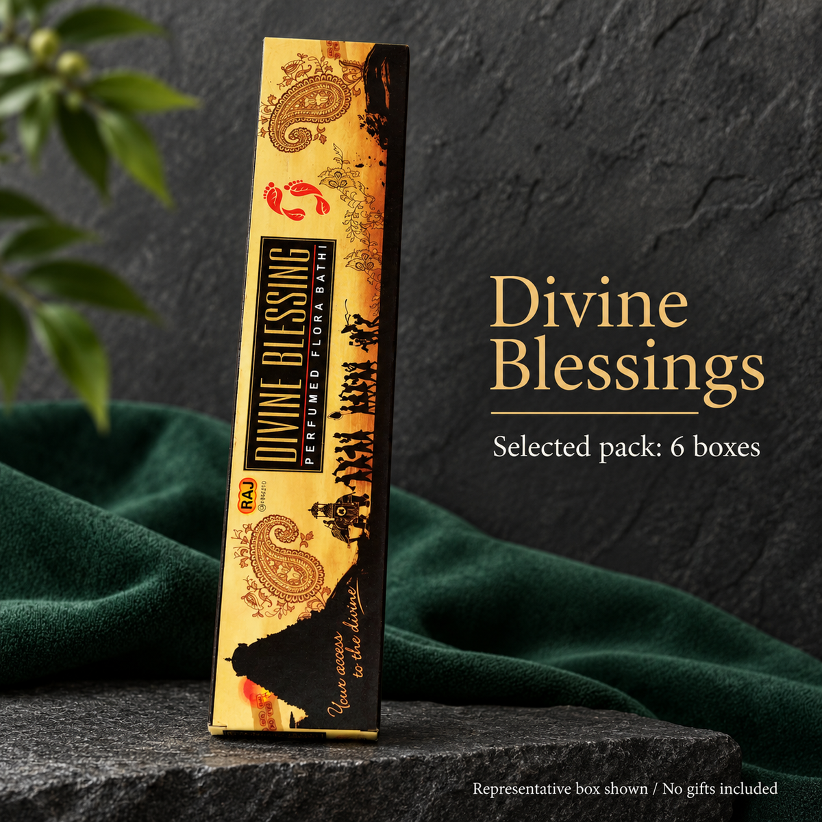Divine Blessings — 6 boxes — representative individual box
