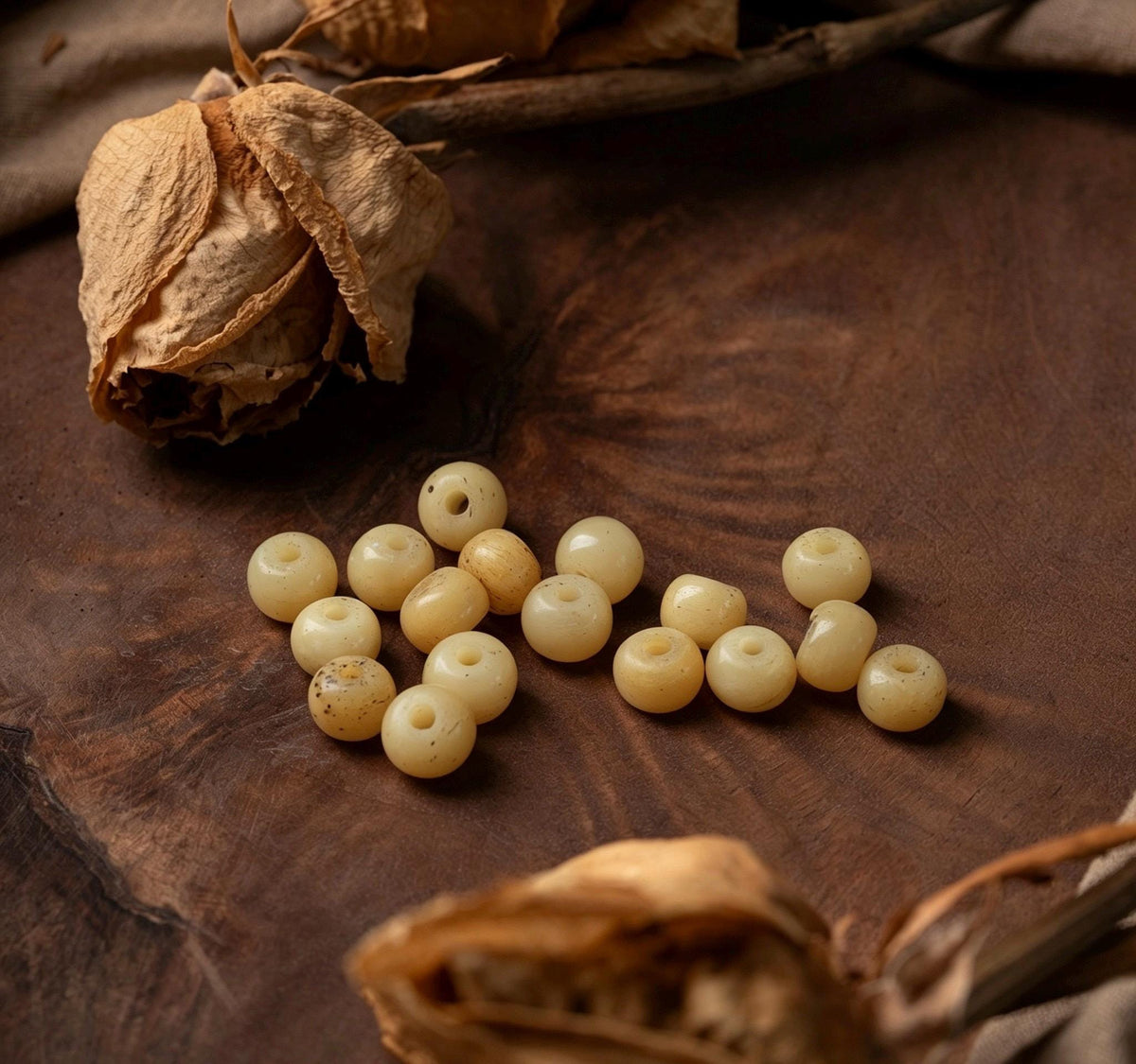 Natural Aged Hainan Star Moon Bodhi Seed 108 Mala Beads, Rare Camel Bone Pendant Buddhist Prayer Rosary, Meditation Necklace Gift