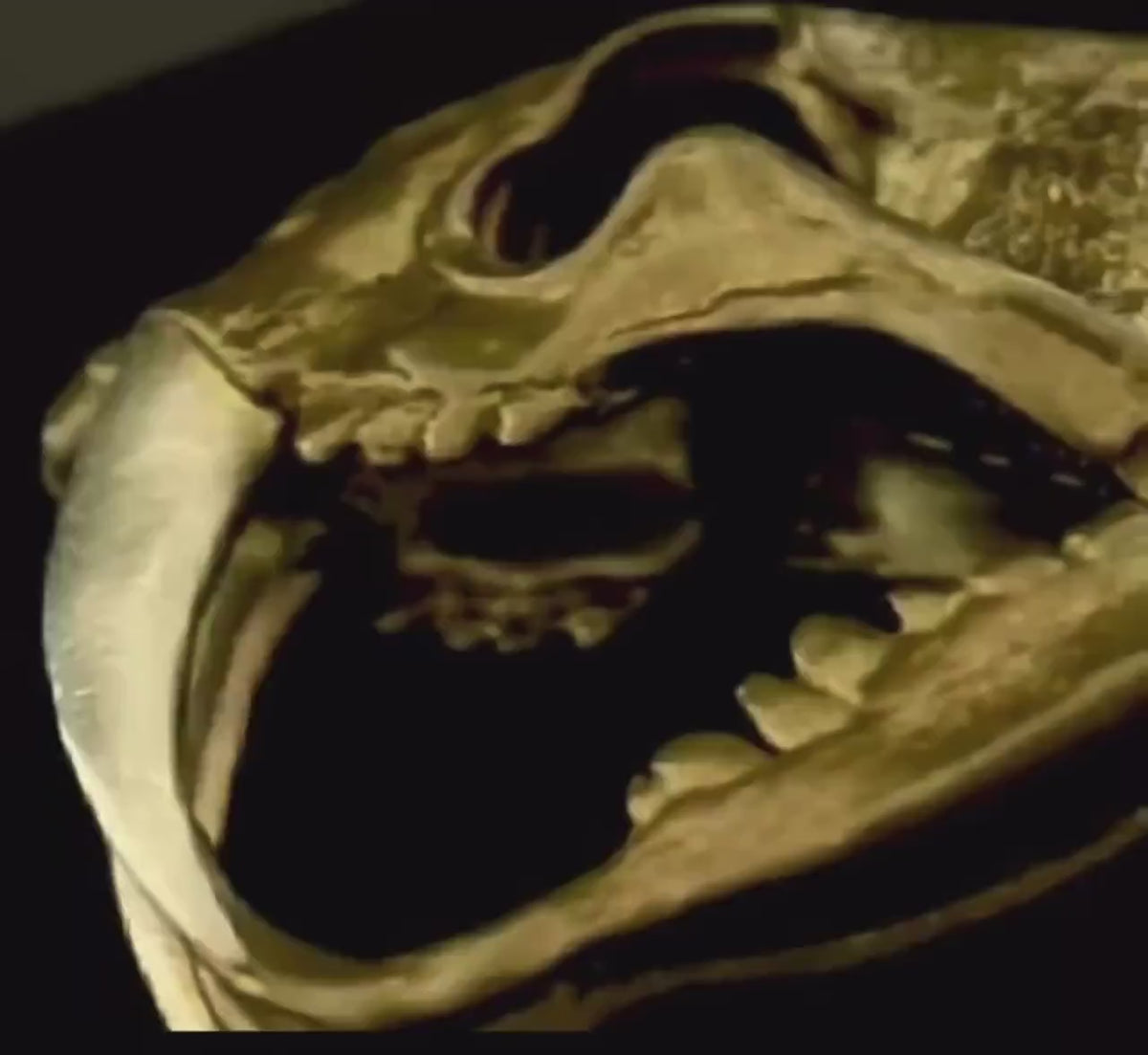 Load video: Original Brass Saber-Toothed Tiger Skull Pendant, Handcrafted Keychain with Silver Teeth