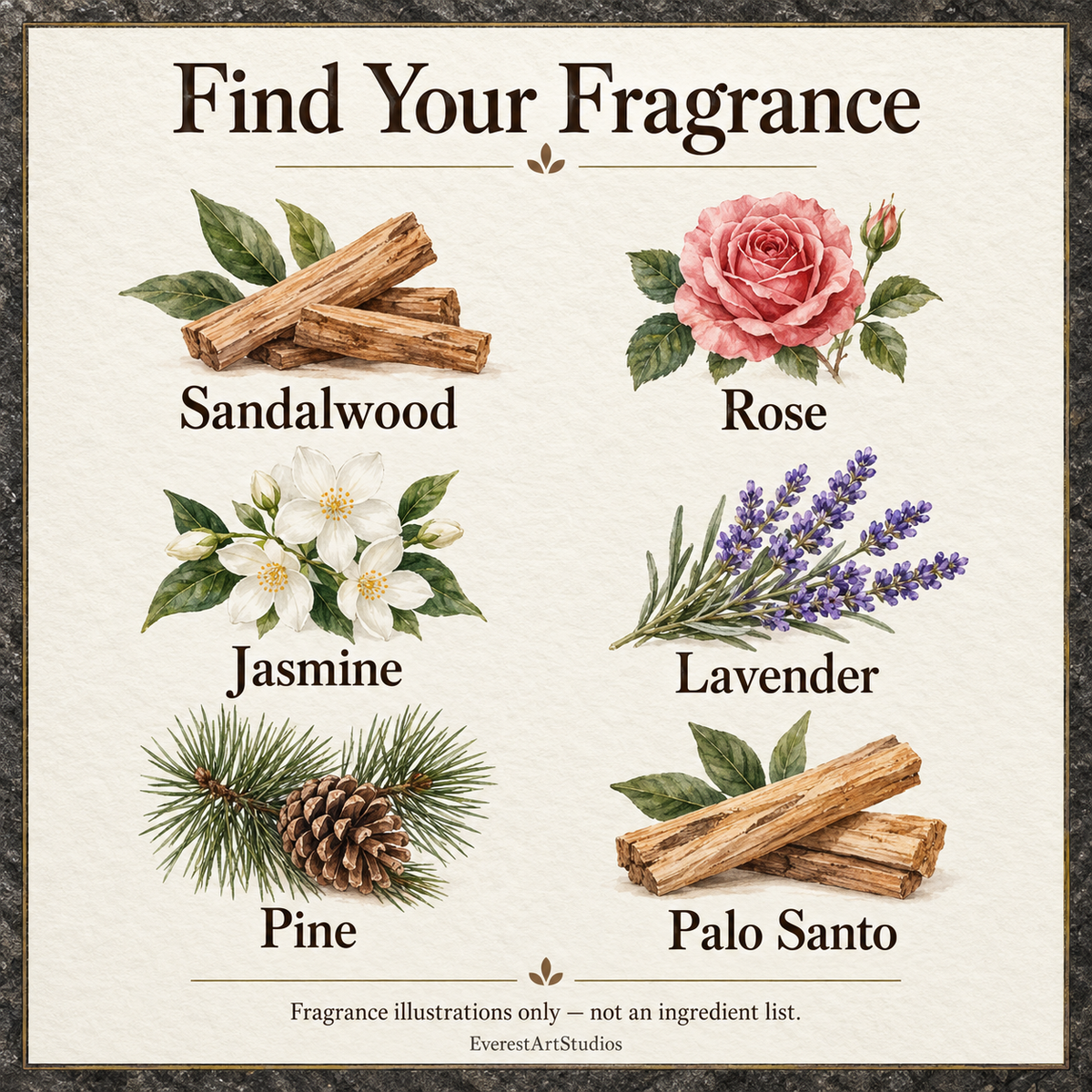 Fragrance illustration guide, not an ingredient list